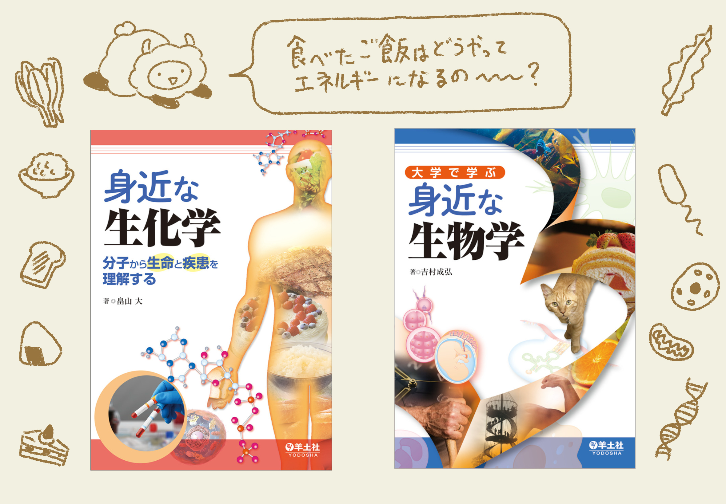生物関係の古書 6冊 まとめて 理科文庫 微生物 生命進化 生物教育
