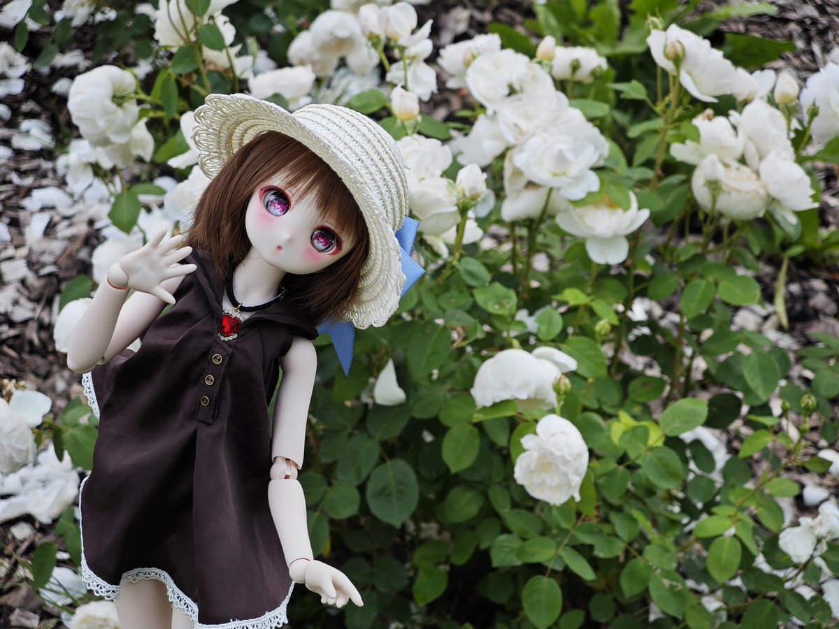 メル子「毎日暑いですね(*^^*)」
(^o^;
撮影時はここがスポットでやたらと暑かった(*_*;
離脱後雨天になったようだが(^o^;
#BorderlineToybox