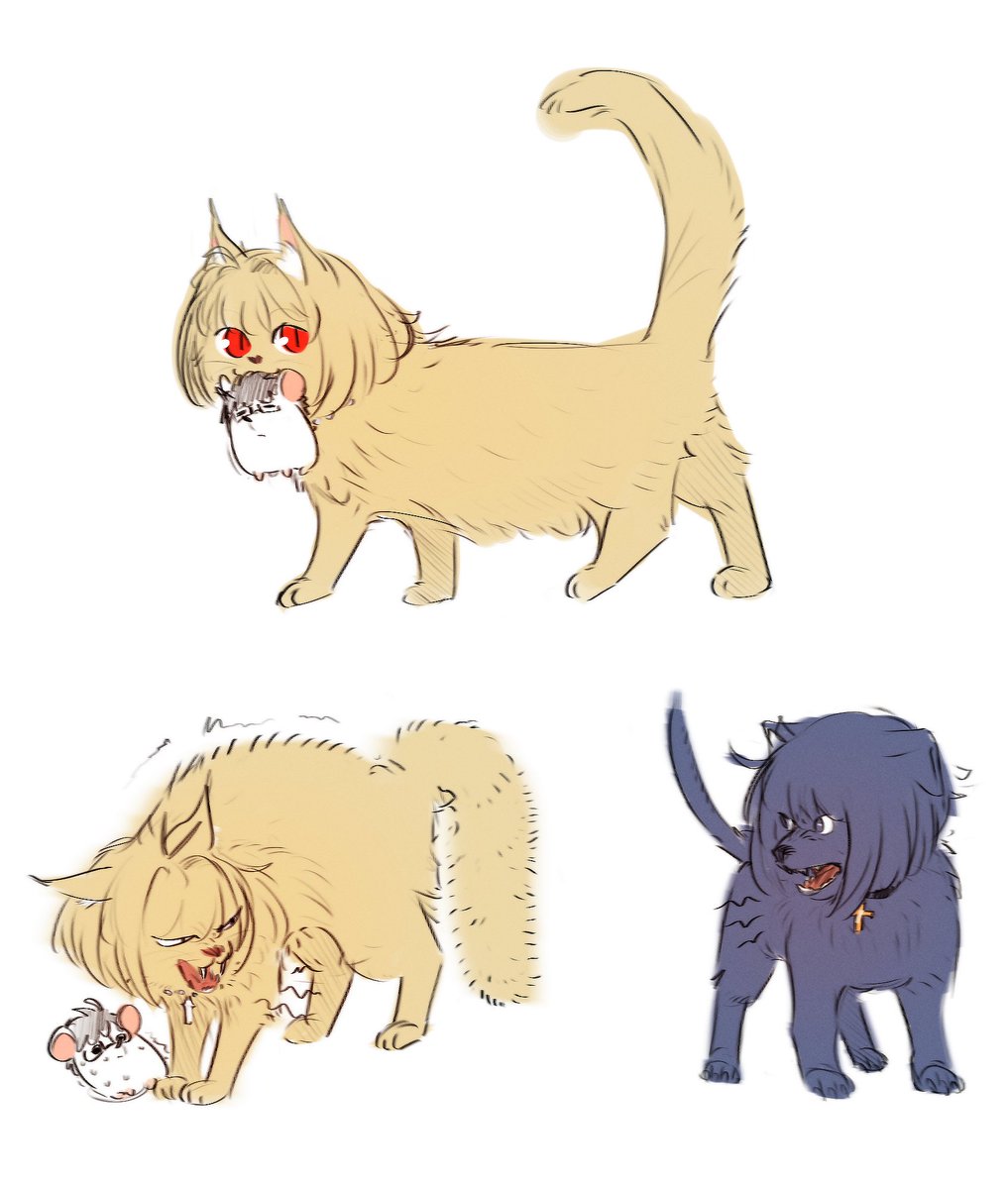 .oel（レオ/ 레오） tweet media