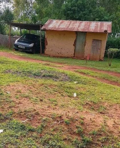 "We struggle not because it assures us of victory. We struggle because it assures us of an honorable and same life"~ Ta-Nehisi Coates