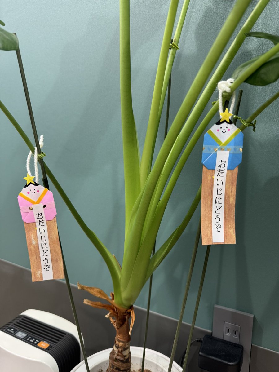 こんにちは南浦和つながりクリニックです。七夕ですね。当院の名称は「人と人とのつながりを大切に」ということから命名しております。織姫と彦星もつながることができますように。

#心療内科
#精神科
#カウンセリング
#心理療法
#うつ
#不安
#不眠
#ストレス
#適応症
#発達障害
#摂食障害
#南浦和