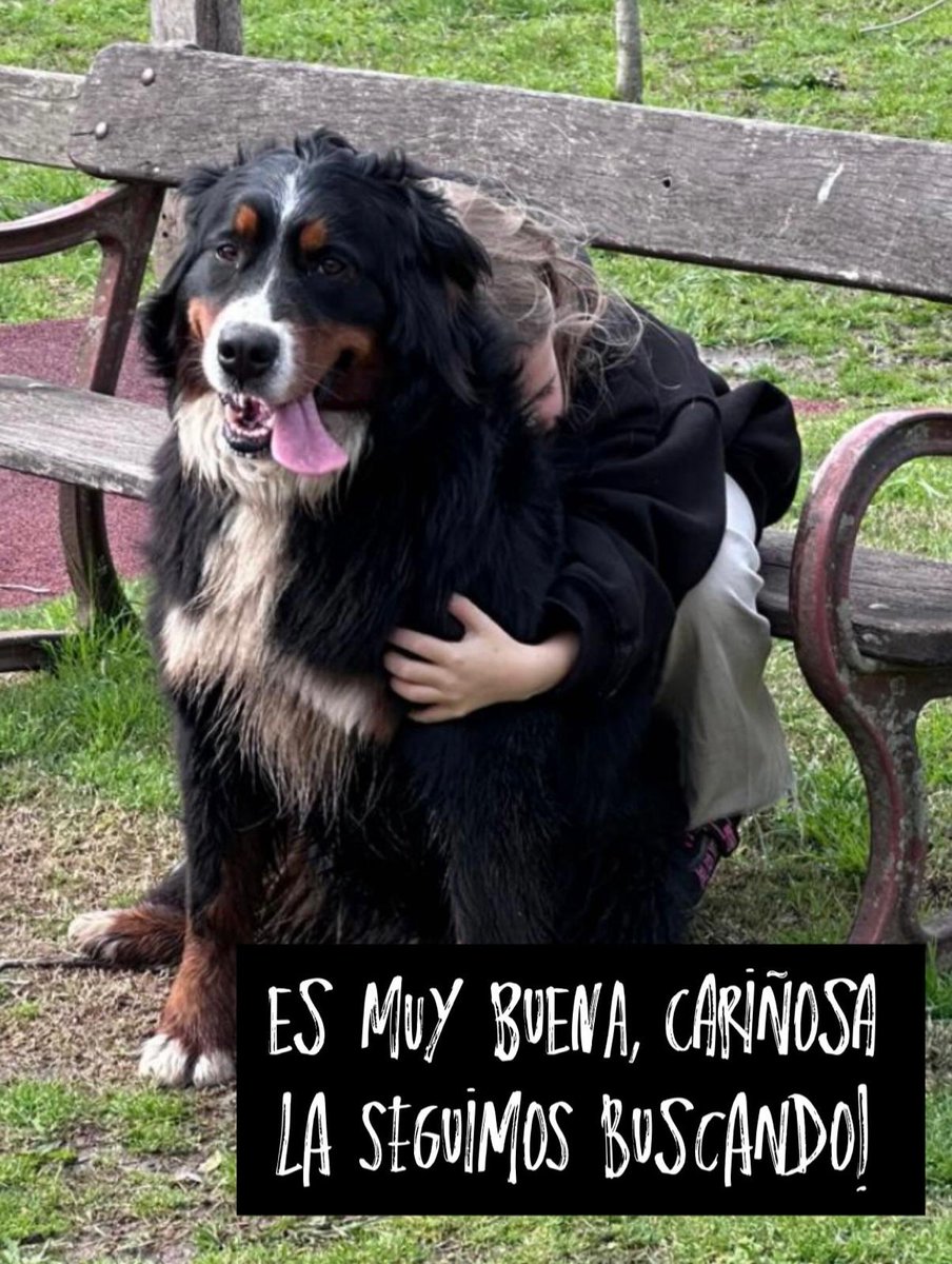 Nos pueden ayudar a difundir??? Se perdió una perra en Canelones en la zona de La Paloma, cerca del pueblo de Santa Rosa, ruta 11 y camino a La Capilla. Responde al nombre de Kina y hay tres niñas esperándola.Por favor avisar si la han visto al celular de la foto, 098941213