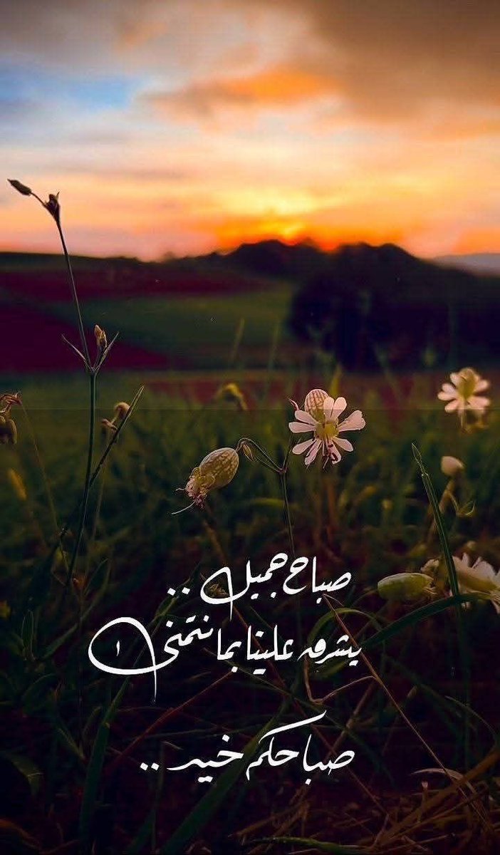 سالم الراشدي tweet media