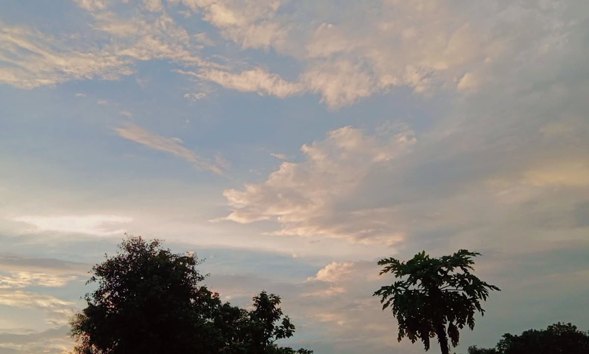 Tahniyatmehdi14's tweet image. Hometown's beautiful cloudy morning, where nature's serenity meets the sky ☁️🌳📸

 #SkyLovers #NaturalBeauty #WildBloom #MobilePhotography