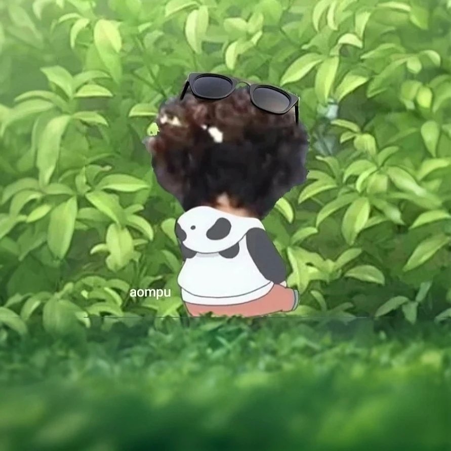 ☁️💚85,000,000%💚☁️ tweet media