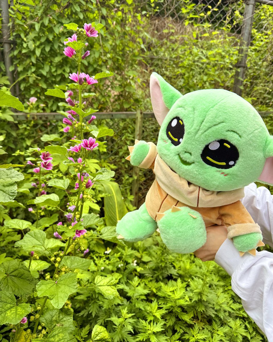 🎁プレゼントキャンペーン🎁

フォロー&amp;リポストをして、バッグに入れて持ち歩ける、銀河一可愛いグローグーの実物大ぬいぐるみをGETしよう💚
抽選で20名様にプレゼント！！