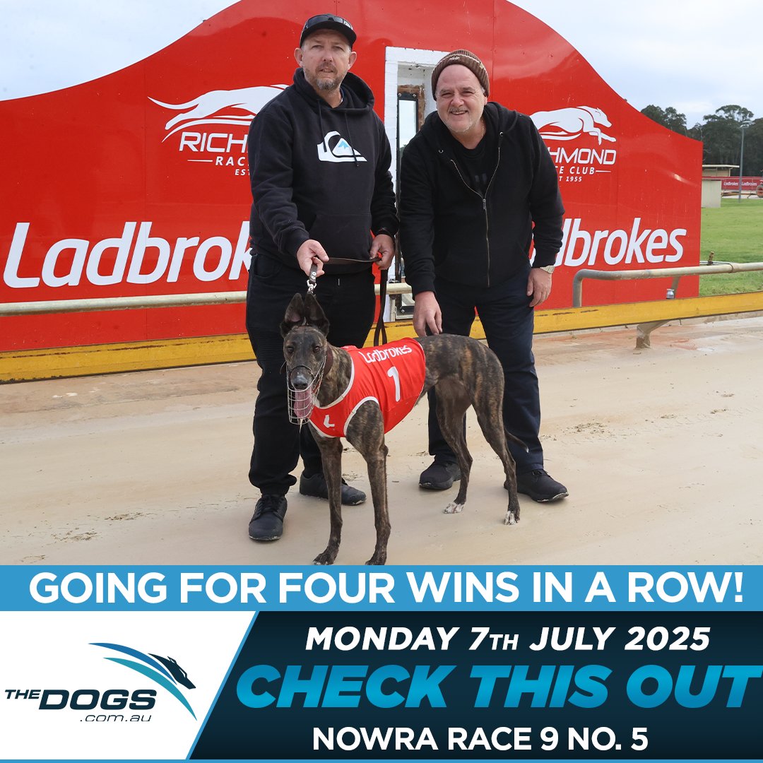 The Dogs (@thedogs_com_au) on Twitter photo Check this out! π
Joel Mahoney's Check This Out is chasing her 4th win in a row tonight when she takes her place in Race 9 at Nowra. The Hound has her on top... do you?
#thedogs
<a href="/ladbrokescomau/">Ladbrokes Australia</a> Check this out! π
Joel Mahoney's Check This Out is chasing her 4th win in a row tonight when she takes her place in Race 9 at Nowra. The Hound has her on top... do you?
#thedogs
<a href="/ladbrokescomau/">Ladbrokes Australia</a>