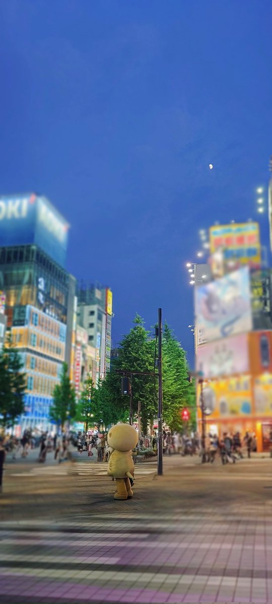 supy56's tweet image. ネイティヴアメリカンの言葉。
「あなたが生まれた時、あなたは泣いていて、まわりは笑っていた。
あなたが死ぬ時、まわりが泣いていて、あなたが笑っている──そんな人生を送りなさい」
この言葉、昔からすごく好き✨
たまにはこんなポストもしてみる☺️
画像は昨日のちぃたん☆💕
#心に響く言葉…