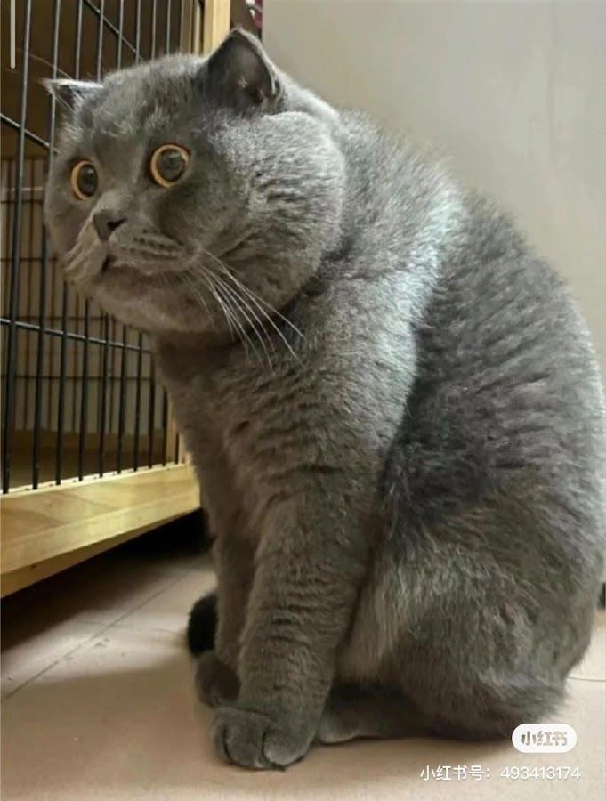 nguyenkvvn's tweet image. "Do you want me to walk you to check-out?"
"No- not this laptop. Bring me the one that's open-box with the driver issues. I'm not here to buy a laptop- I'm here to GAMBLE."
the sales rep watching me flip a dice on a returned laptop with good odds as i can fix computers: