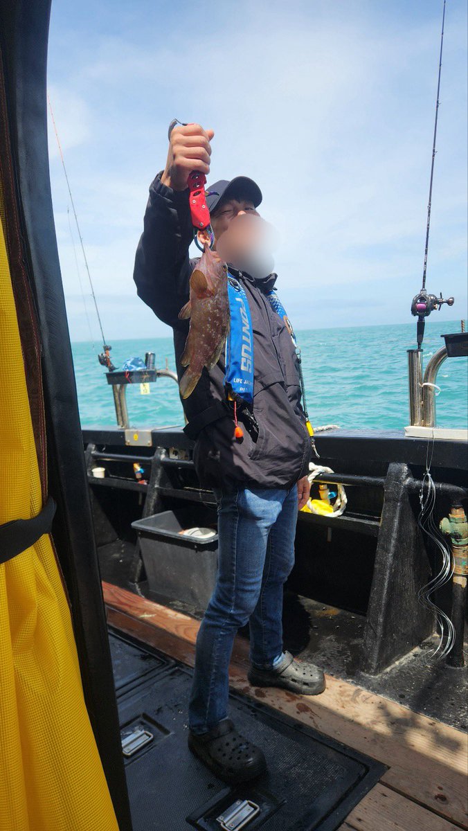 김데레 tweet media