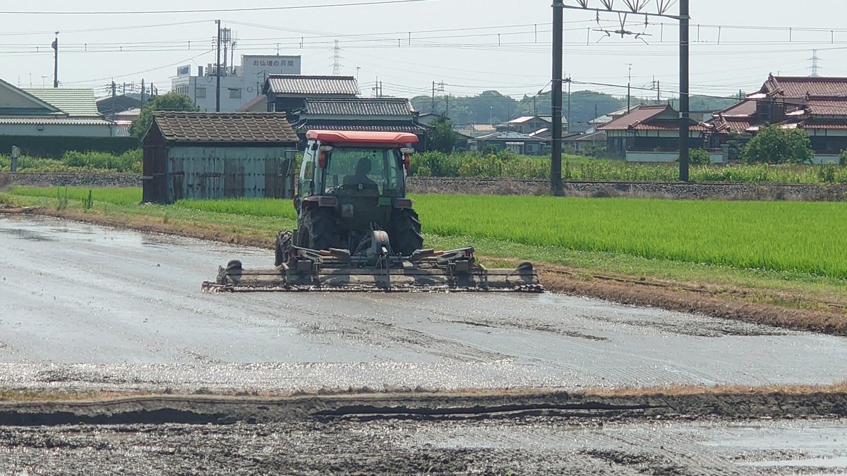 Ninja1000_ZEP11's tweet photo. 助っ人呼んでトラクター2台で代かき
助っ人のウイングハロー(代かきローター)4200やけ😂めっちゃデカいなぁ思う
うちのは3600…(›´A`‹ )www
#代掻き
#代かき
#SL600CGS
#SL55 https://t.co/eQw7tQ6ySo