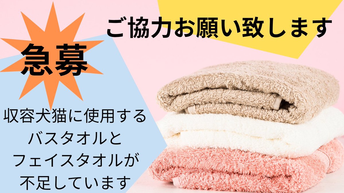 収容犬猫に使用するバスタオルとフェイスタオルが不足しています。
破れやほつれのない洗濯済みの清潔なものであれば新品でなくても構いません。
(ボタンやゴム付きのラップタオルはご遠慮ください)
下記までお願い致します
〒2860211
千葉県富里市御料709-1
千葉県動物愛護センター本所
0476-93-5711