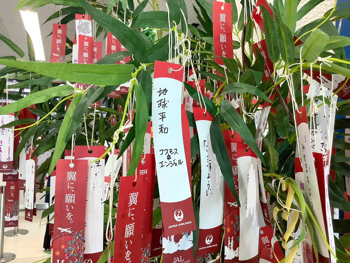 コスモス*エンジェル tweet media