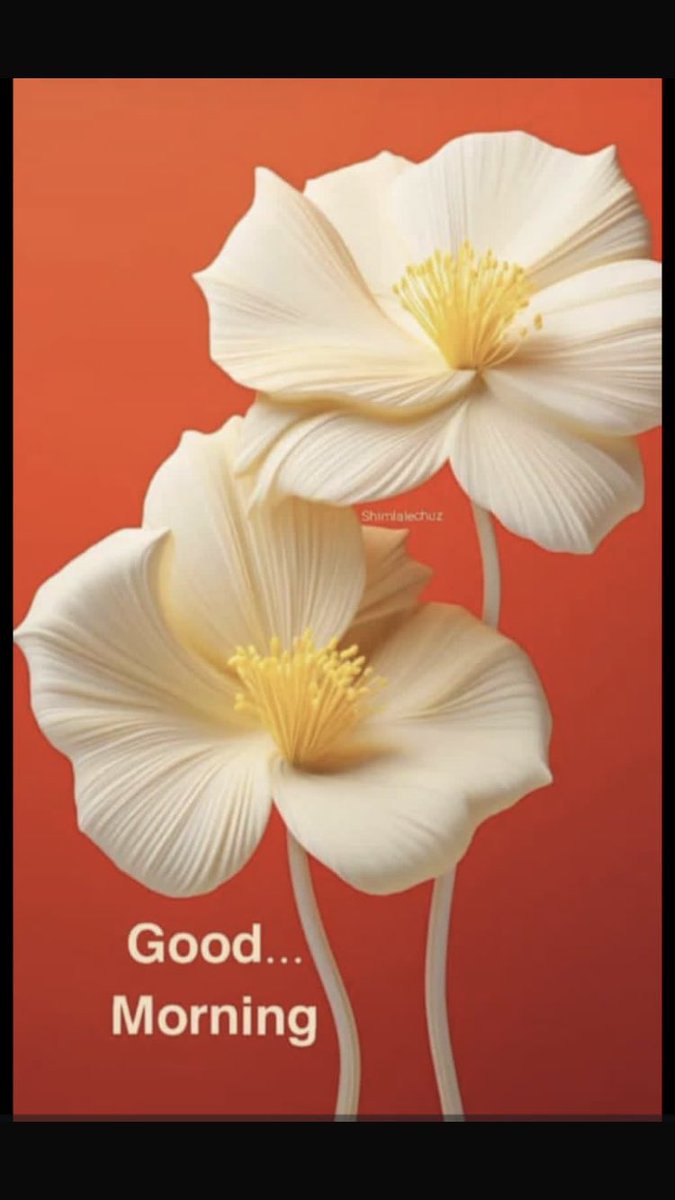 🌱السلام وعلیکم🌱
🌱صبح بخیر🌱
⚘زندگی جن زخموں سے بھری پڑی ہے- اُن زخموں کا علاج صرف "سجدے" میں ہے⚘