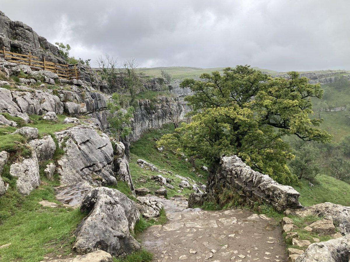 doristhehat's tweet image. Good morning everyone wishing you a lovely day 馃榾heading up towards the top of Malham Cove. This weekend鈥檚 wonderful walking 馃挌
#YorkshireDales