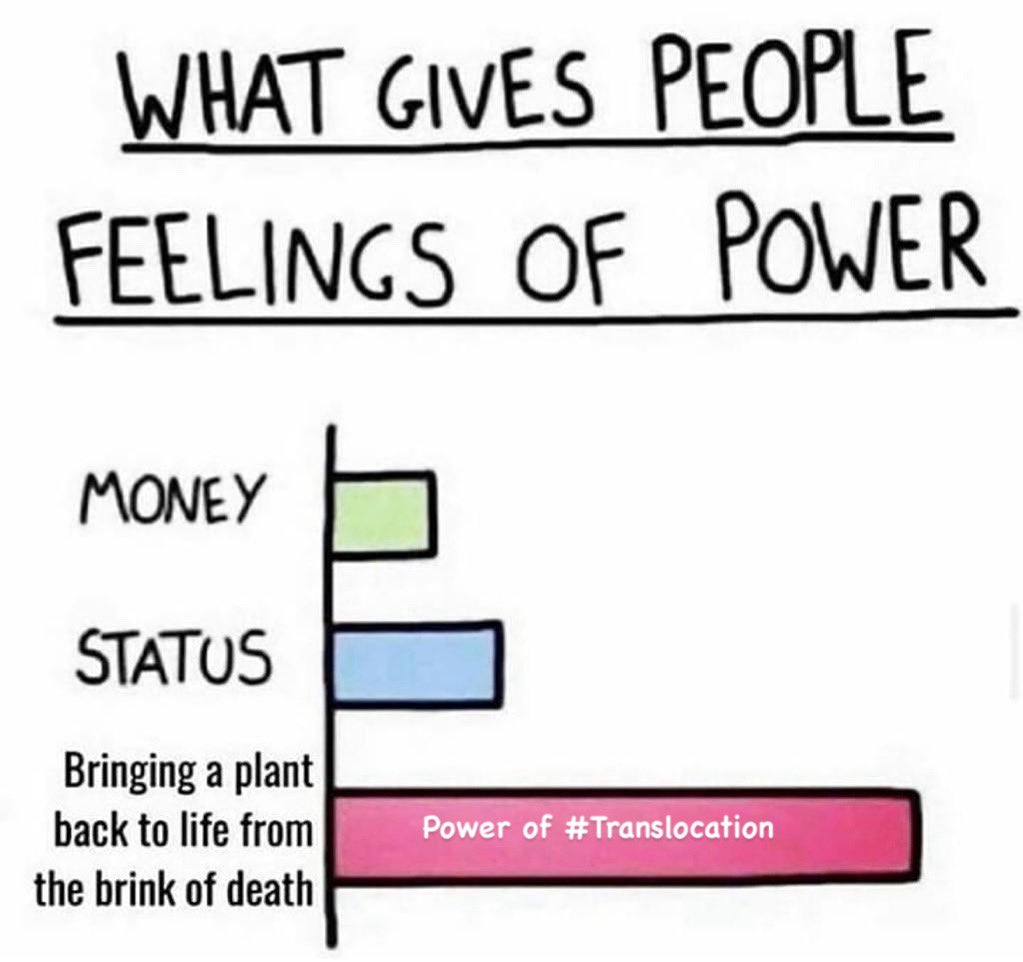 vata_foundation's tweet image. The feeling we get after a tree we saved by translocation recovers.. 

#savefullygrowntrees 
#translocation