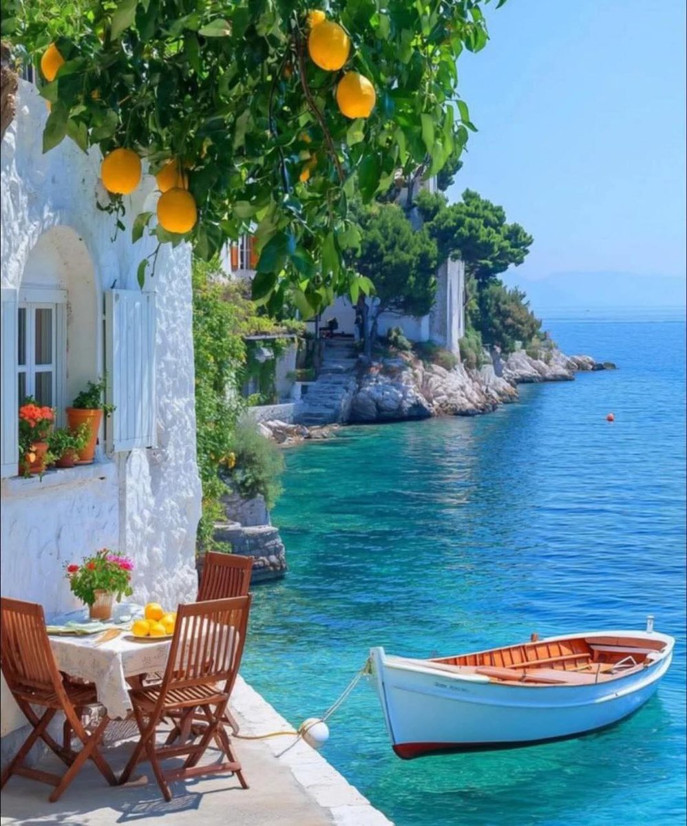 ا̍ڷڔٰا̍ڜد ּ 𝒜ℒℛ𝒜𝒮ℋ𝒟 tweet media