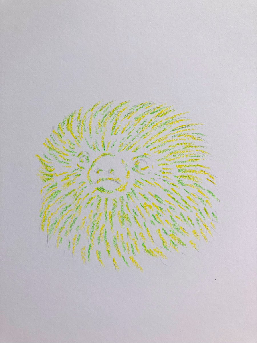 namuru_rururu's tweet image. なむるだよ。どにちがいそがしくて、きょうはおつかれぎみ🦥💦
こころとからだをおちつかせるために、くれよんでしゃきょう…ならぬしゃなまをしてるよ。
まだとちゅう!うまくかけるかな?
#なまけもの #イラスト
#くれよん