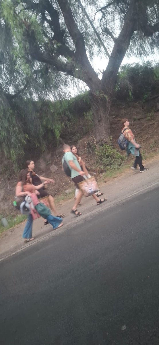 😭😭😭 wanatesa hadi tourists