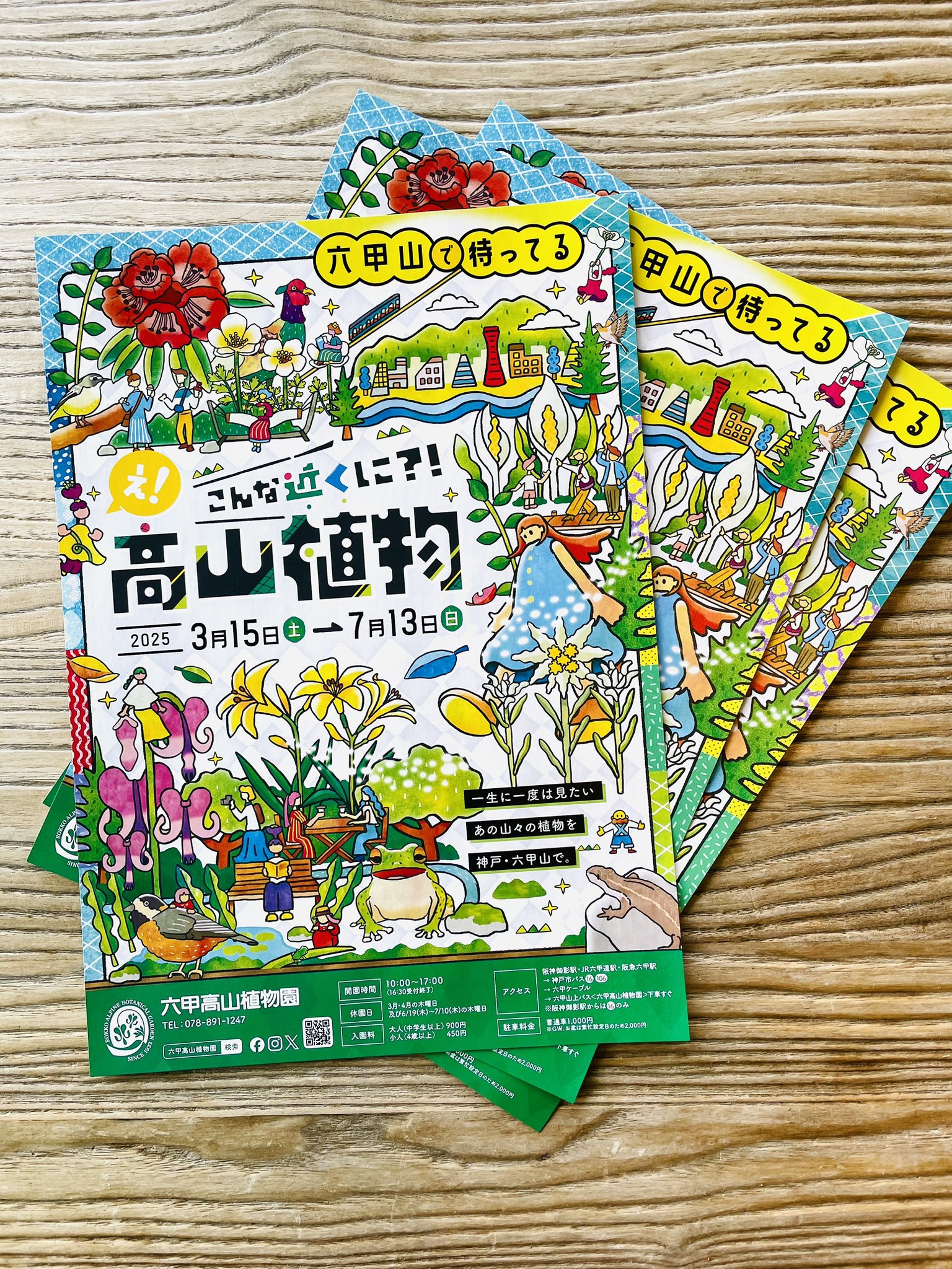 【たかぼー】5月7日テキスト出品 引野裕詞｜Illustrator｜uramabuta on X: 