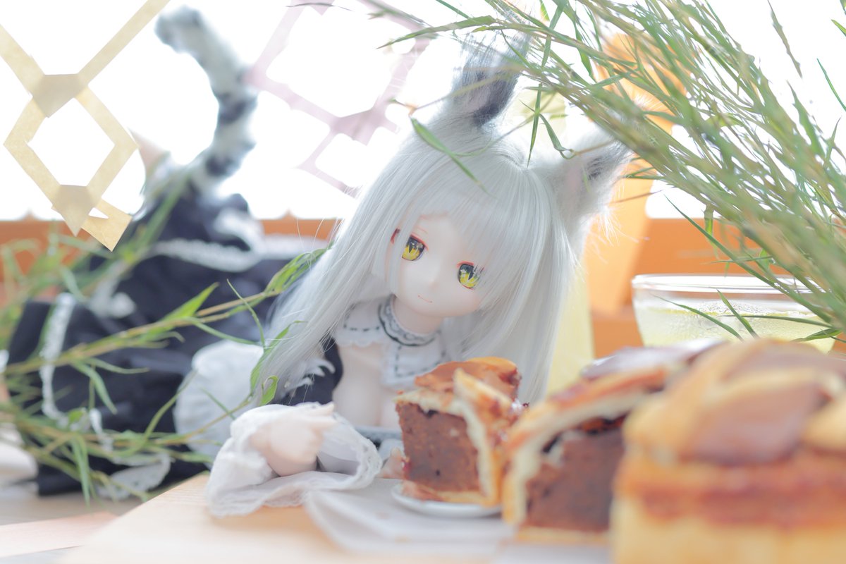 これからもいろんなケーキが食べられますように ^⁎ᵕᴗᵕ⁎)🎋✨