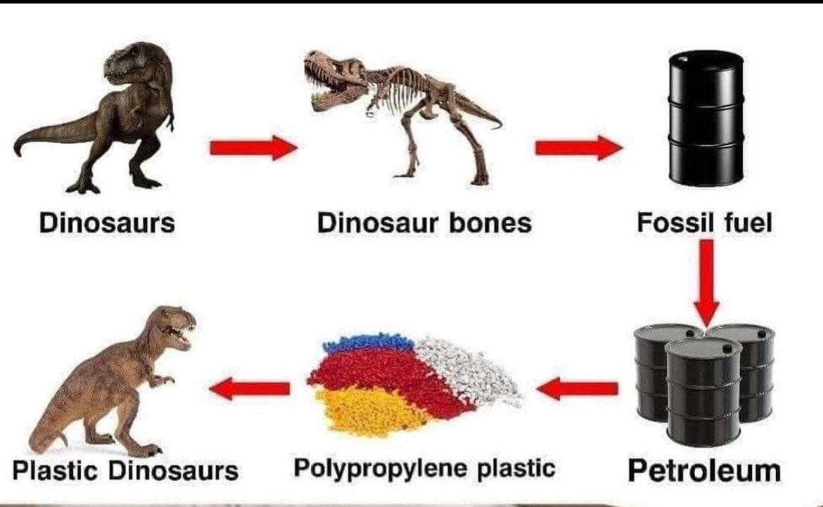 Plastic dinosaurs are real dinosaurs 🤔🤔