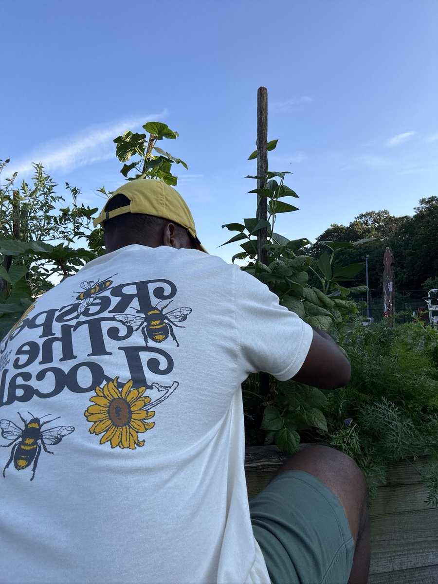 Respect the locals 🐝🐝🐝