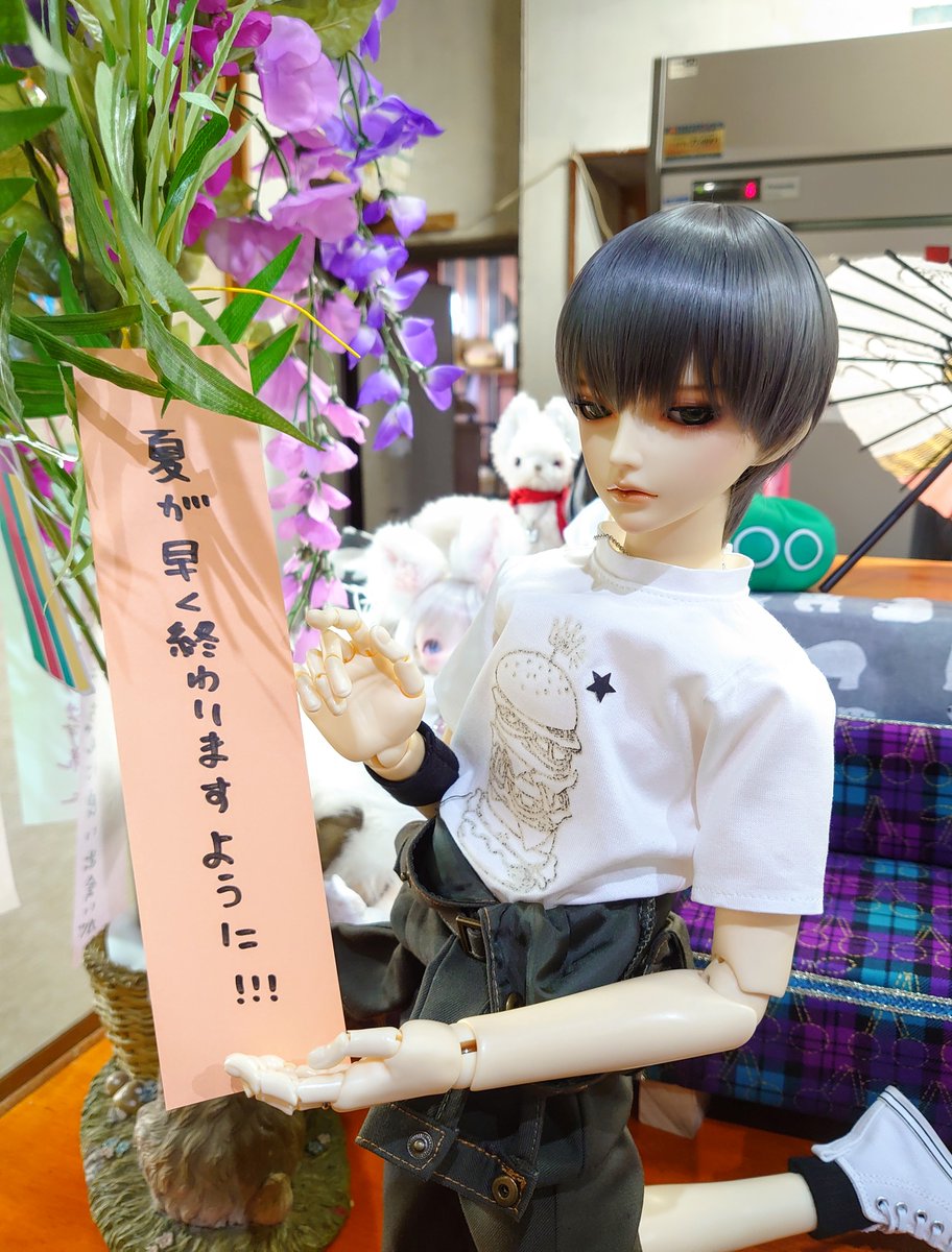 私と桐からの七夕のお願い🎋

桐は暑いのキライ
私は虫多いのが特にやだ🥺

冬が待ち遠しいや(*´ω｀*)✨

#AsleepEidolon
#ドールと七夕