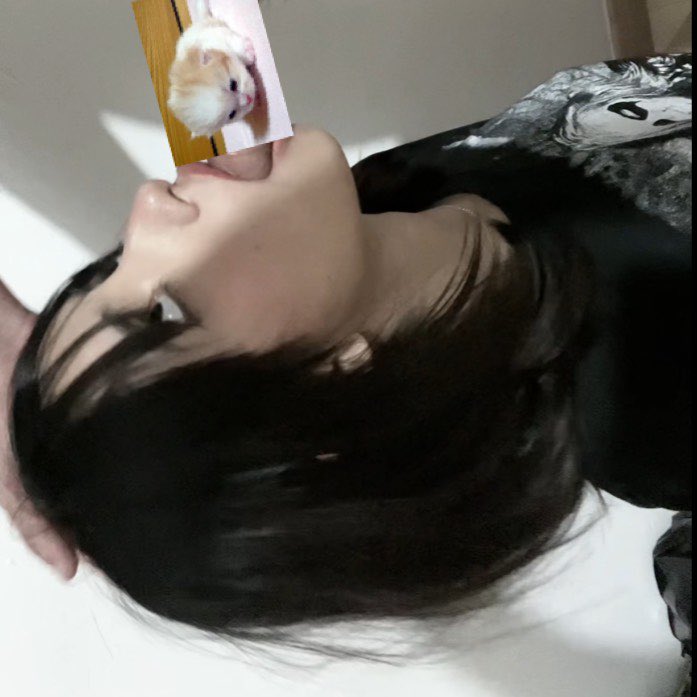 camville seo tweet media