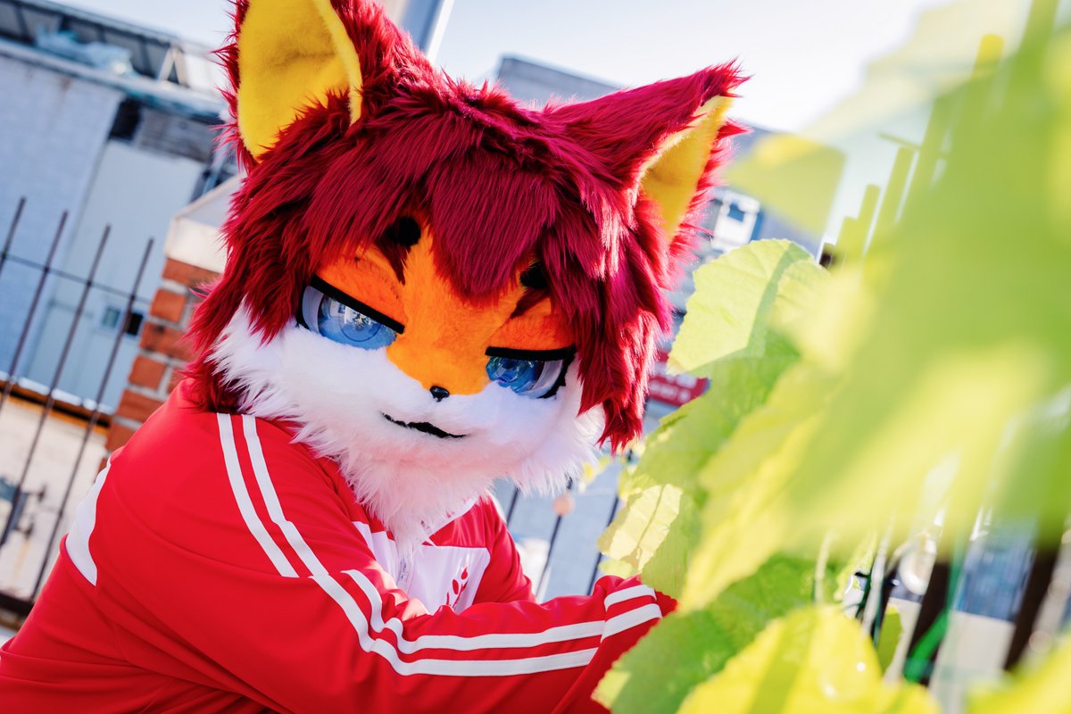 덥다 그치?
그래도 얘들은 잘자랄거 같아~

#FursuitEveryday #fursuit