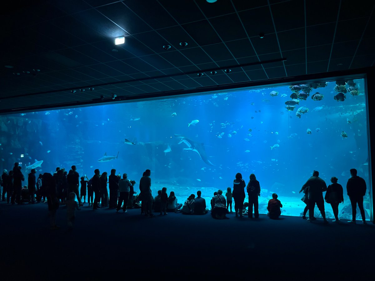 BalcarrasMFL (@balcarrasm) on Twitter photo Nausicaá sea centre. Beaucoup de poissons, beaucoup de pingouins… et des élèves très heureux. 🇫🇷 <a href="/balcarras/">Balcarras School</a> Nausicaá sea centre. Beaucoup de poissons, beaucoup de pingouins… et des élèves très heureux. 🇫🇷 <a href="/balcarras/">Balcarras School</a>