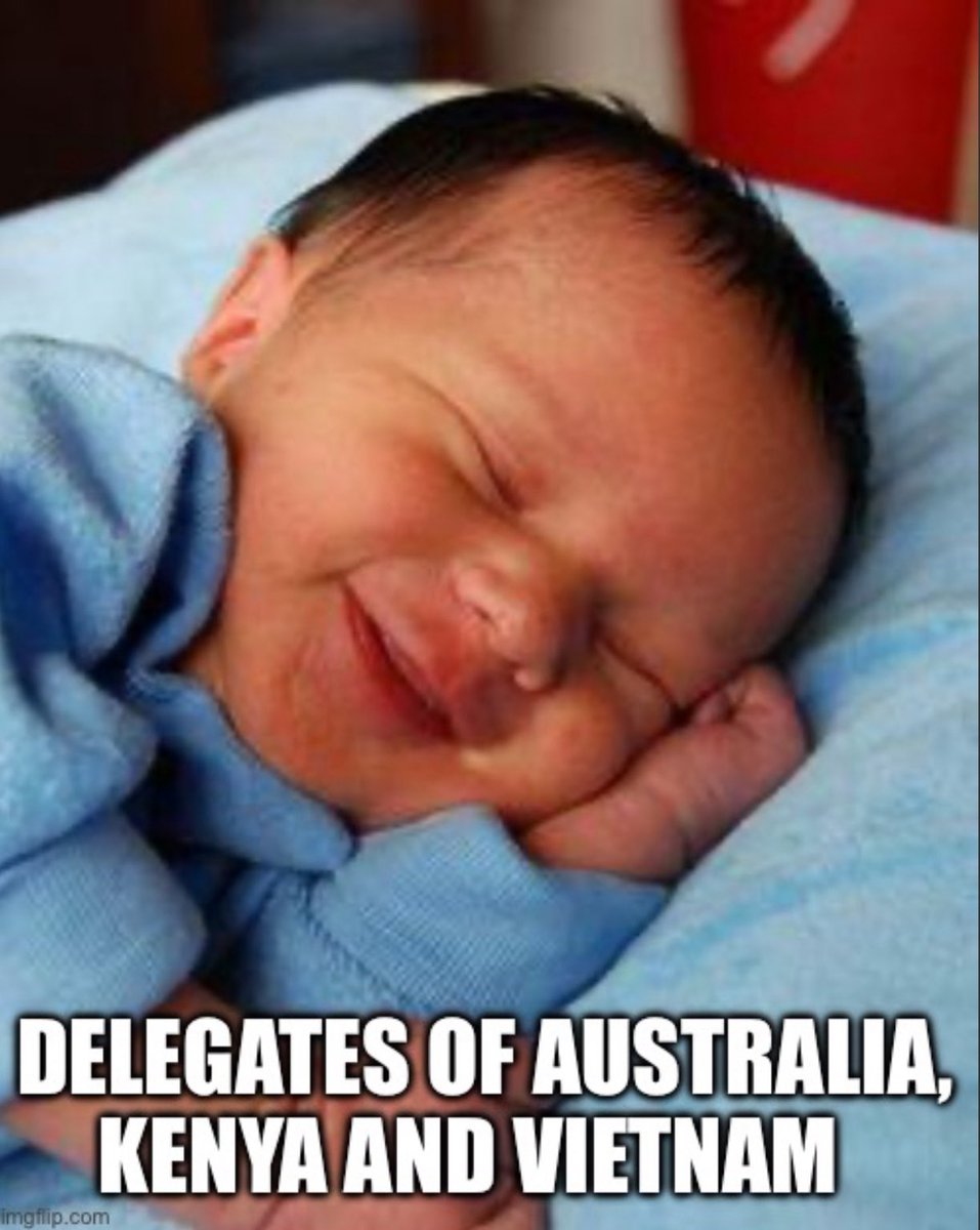 MH 
<a href="/nimunpress/">NIMUN PRESS</a> #UNOOSA