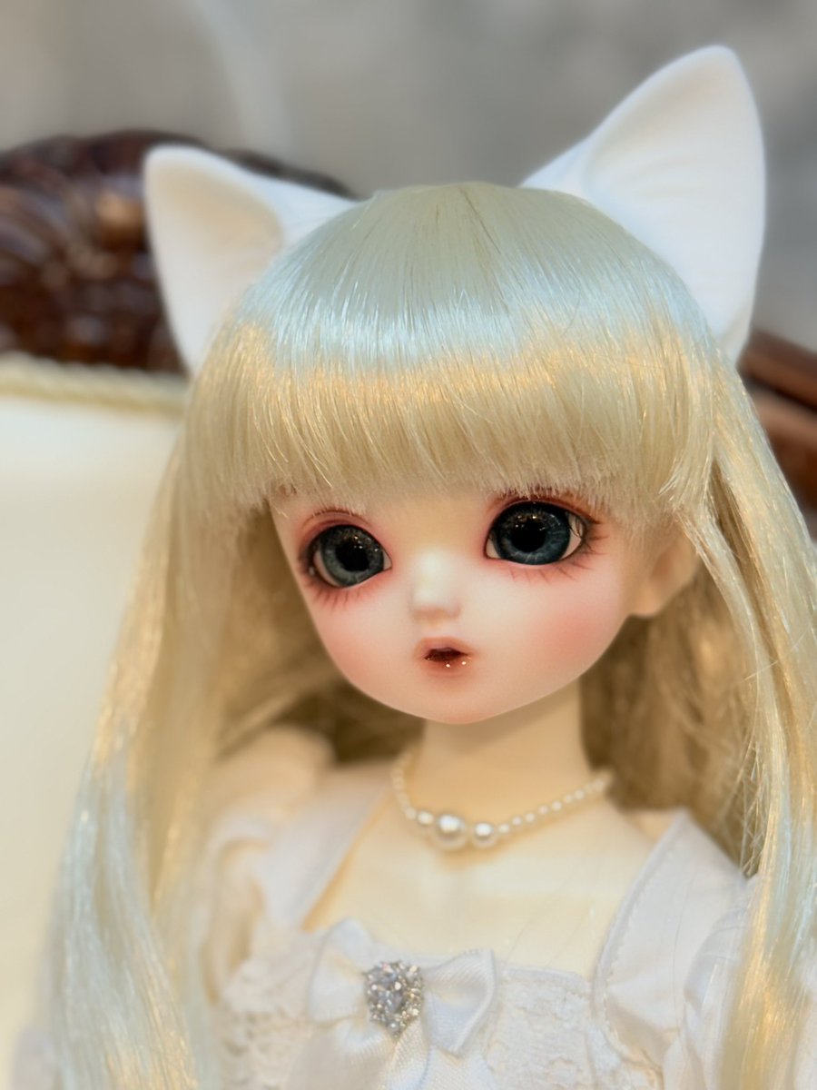JAmuZVuf9vdqh3j's tweet photo. 改めて…SDM68番女の子お迎えしました🫶
推薦メイクアンニュイ2点変更📝
大好きだった愛犬をモデルにきゅるきゅる目でお姫様のような子…そのまんまが来てくれて本当…とても可愛い…綺麗…好き…感無量😭💕
#フルチョお迎え報告
#SDM68 https://t.co/ca4nu9gVqS