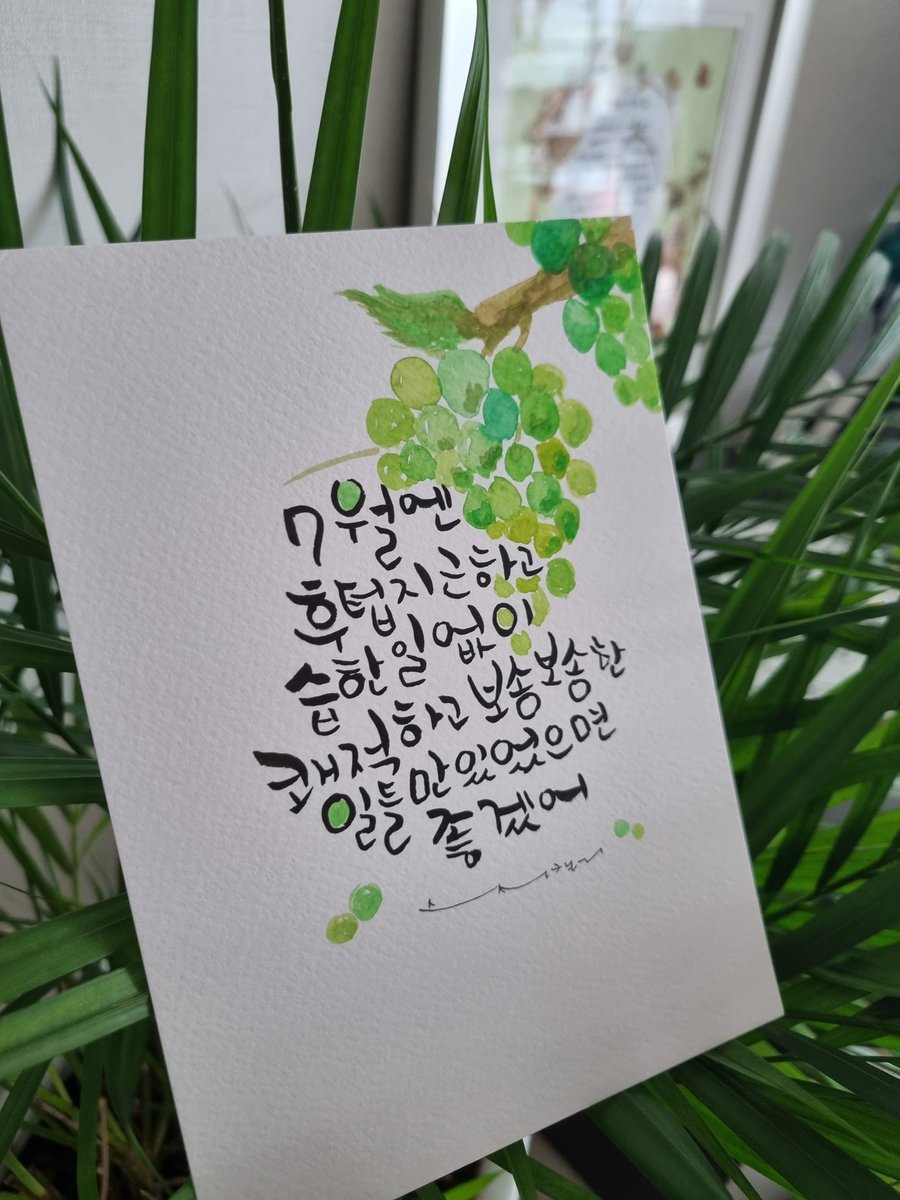DNT빨간머리앤 tweet media