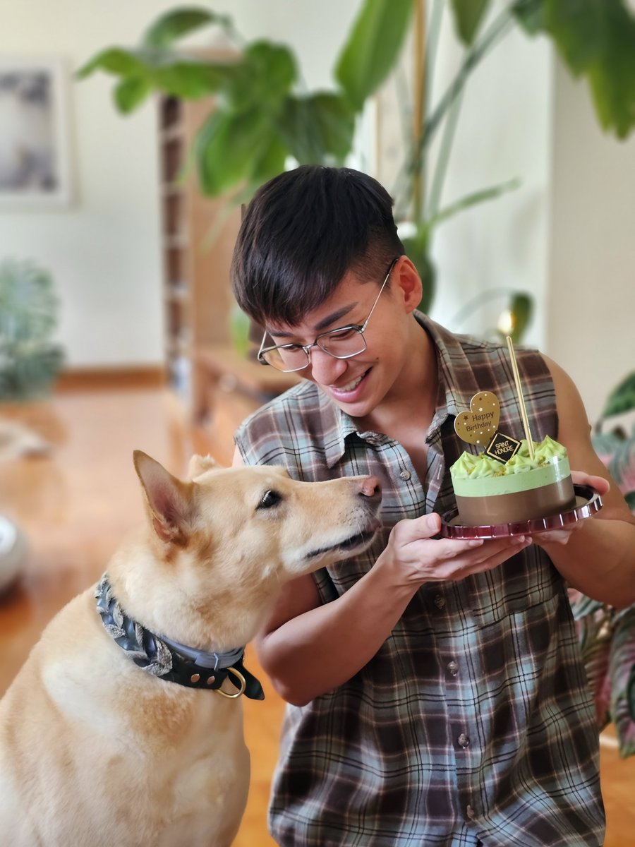 I love cakes 😛🤤