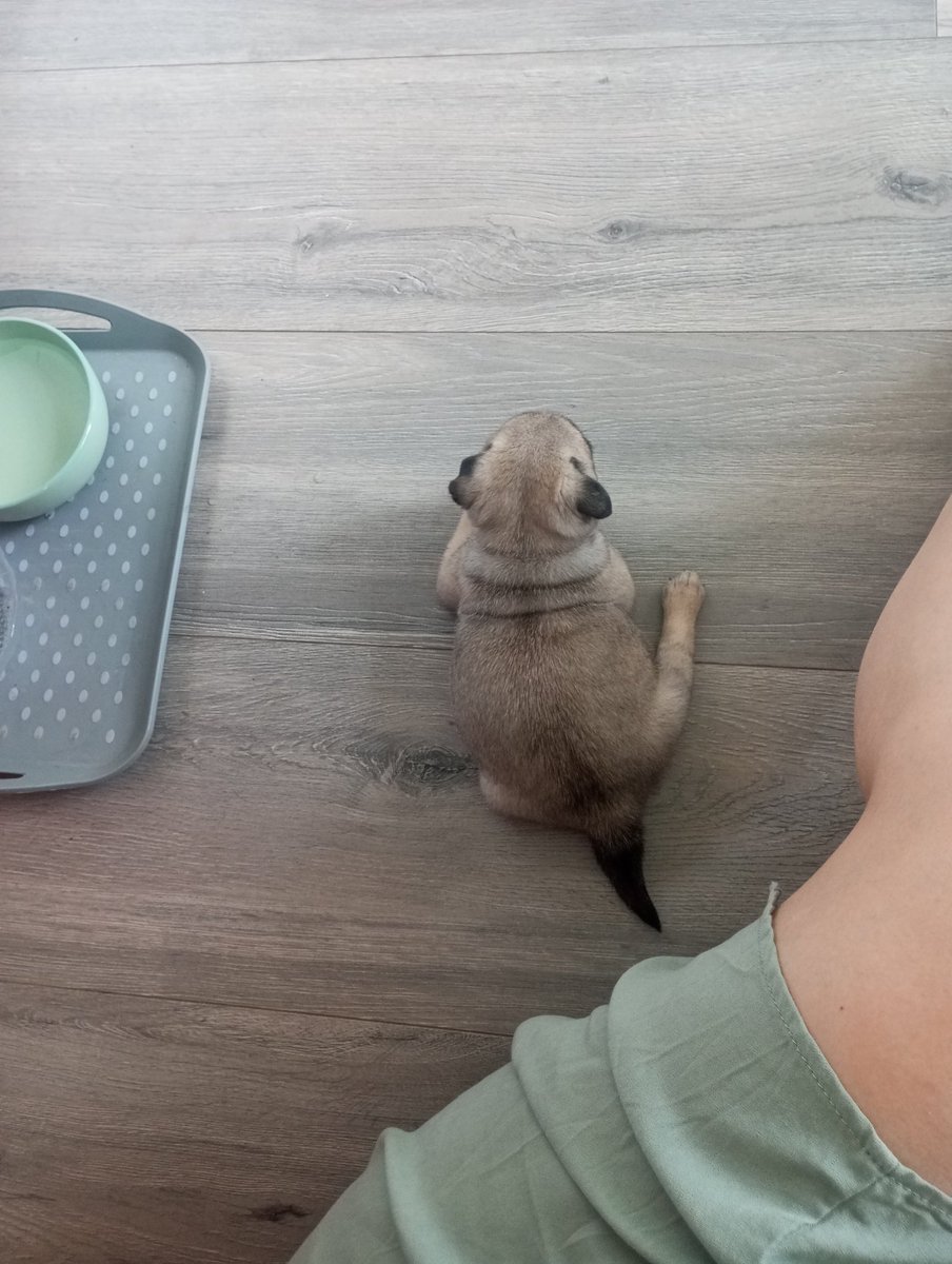 Добро пожаловать в семью, крошка Раиса!