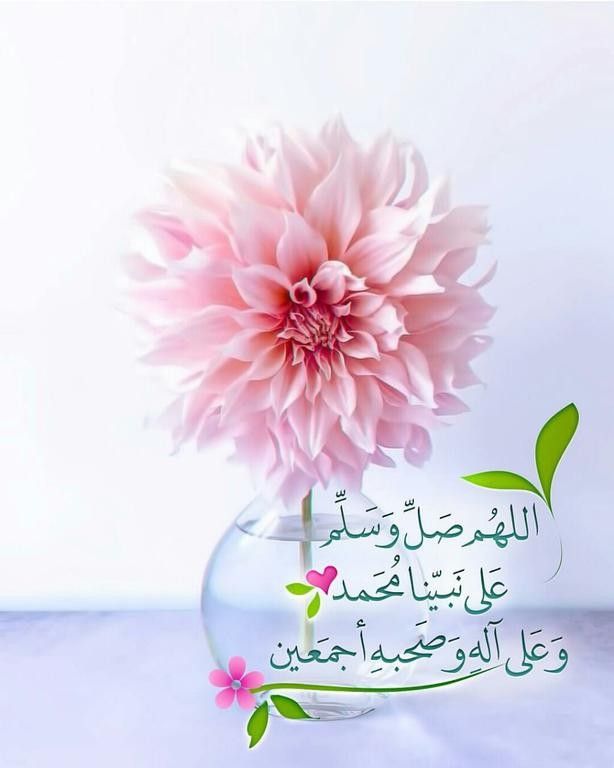 𝐒ҽԋαʀ 👑 (@sehar___) on Twitter photo #ملک_پرموشن
Followers↩️
<a href="/01Mllik/">𝙈𝘼𝙇𝙄𝙆 𝙅𝙄💫💙</a> <a href="/1arshd/">𝗔𝗿𝘀𝗵𝗱 𝗠𝗹𝗶𝗸💫👑</a>
<a href="/0Sehrr/">سحر ملک 🕊️🦋</a> <a href="/1Arshii/">𝓐𝓻𝓼𝓱𝓲 𝓜𝓵𝓲𝓴 ☪ツ</a>
<a href="/sehr_ik/">سحر ملک 🦋🦋</a> <a href="/01rshd/">ارشـــد مــلــک❤️</a>
<a href="/11iasd/">Ali Asad</a> <a href="/1fazl2/">فضـ𝓪𝓴𝓫𝓪𝓻ـل</a>
<a href="/0Mahiii/">khan Ki Khilariii 🏏</a>
<a href="/1Sehar_/">𝐒ҽԋαʀ 👑</a>
<a href="/Snam5_/">🍁Sanam🍁</a>
<a href="/111mn1/">🐬آمنہ ملک🦋</a>
<a href="/glmsjd/">𝑺𝒂𝒋𝒋𝒂𝒅 ✨</a>
<a href="/shz787/">🌟⭐️🌟🌟sʜᴀʜᴢᴀᴅ ᴍᴜɴɪʀ🌟⭐️🌟⭐️</a>
<a href="/1shobii/">Shoaib Khoso🇵🇰</a>
<a href="/ZK__32/">Zumar Khan</a>
<a href="/11ain_a/">AnuM🪡</a>
<a href="/10bshr/">Bashir Ahmed</a>
<a href="/shZ447/">𝕊𝕙𝕒𝕙𝕫𝕒𝕕 𝕄𝕦𝕟𝕚𝕣</a>
<a href="/Hurain_5/">Hurain 💞حورین</a>
<a href="/Haris_943/">Haris PTI ᵀᶠᴸᵂ</a>
<a href="/1fzalI/">💓PTI ACCOUNTS PROMORTER💓</a> <a href="/_1rhe/">شازیہ</a>
<a href="/Fat9T/">Arshia🥀🍂</a> <a href="/Znt31/">🦋Zeenat🦋</a>
<a href="/Znt33/">🦋ZêēñäT</a> <a href="/Pir_80/">Peer Shb</a>
<a href="/Ghz35/">🇬 🇭 🇦 🇿 🇦 🇱 🇦 🇭</a> <a href="/guljnt/">گُل جنت🌷</a>
<a href="/ze_kh1/">زینیـــــہ خـان</a> <a href="/NK_pti/">𝒜𝓏𝒶𝒹 🇵🇰</a> #ملک_پرموشن
Followers↩️
<a href="/01Mllik/">𝙈𝘼𝙇𝙄𝙆 𝙅𝙄💫💙</a> <a href="/1arshd/">𝗔𝗿𝘀𝗵𝗱 𝗠𝗹𝗶𝗸💫👑</a>
<a href="/0Sehrr/">سحر ملک 🕊️🦋</a> <a href="/1Arshii/">𝓐𝓻𝓼𝓱𝓲 𝓜𝓵𝓲𝓴 ☪ツ</a>
<a href="/sehr_ik/">سحر ملک 🦋🦋</a> <a href="/01rshd/">ارشـــد مــلــک❤️</a>
<a href="/11iasd/">Ali Asad</a> <a href="/1fazl2/">فضـ𝓪𝓴𝓫𝓪𝓻ـل</a>
<a href="/0Mahiii/">khan Ki Khilariii 🏏</a>
<a href="/1Sehar_/">𝐒ҽԋαʀ 👑</a>
<a href="/Snam5_/">🍁Sanam🍁</a>
<a href="/111mn1/">🐬آمنہ ملک🦋</a>
<a href="/glmsjd/">𝑺𝒂𝒋𝒋𝒂𝒅 ✨</a>
<a href="/shz787/">🌟⭐️🌟🌟sʜᴀʜᴢᴀᴅ ᴍᴜɴɪʀ🌟⭐️🌟⭐️</a>
<a href="/1shobii/">Shoaib Khoso🇵🇰</a>
<a href="/ZK__32/">Zumar Khan</a>
<a href="/11ain_a/">AnuM🪡</a>
<a href="/10bshr/">Bashir Ahmed</a>
<a href="/shZ447/">𝕊𝕙𝕒𝕙𝕫𝕒𝕕 𝕄𝕦𝕟𝕚𝕣</a>
<a href="/Hurain_5/">Hurain 💞حورین</a>
<a href="/Haris_943/">Haris PTI ᵀᶠᴸᵂ</a>
<a href="/1fzalI/">💓PTI ACCOUNTS PROMORTER💓</a> <a href="/_1rhe/">شازیہ</a>
<a href="/Fat9T/">Arshia🥀🍂</a> <a href="/Znt31/">🦋Zeenat🦋</a>
<a href="/Znt33/">🦋ZêēñäT</a> <a href="/Pir_80/">Peer Shb</a>
<a href="/Ghz35/">🇬 🇭 🇦 🇿 🇦 🇱 🇦 🇭</a> <a href="/guljnt/">گُل جنت🌷</a>
<a href="/ze_kh1/">زینیـــــہ خـان</a> <a href="/NK_pti/">𝒜𝓏𝒶𝒹 🇵🇰</a>