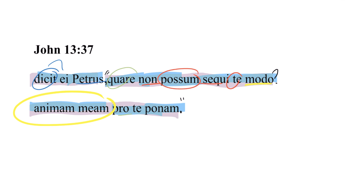 Today's Latin Vulgate Video: John 13:37 Latin Vulgate ow.ly/Q8yA106eZGs