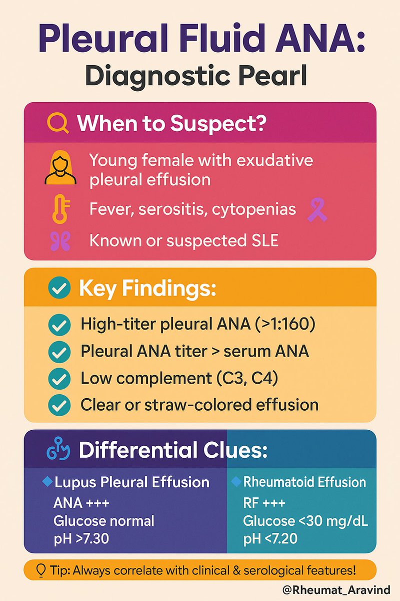Aravind Palraj (@rheumat_aravind) on Twitter photo 💡 Pleural Fluid ANA: A Clue in the Chest
#Rheumatology #MedTwitter #Lupus
<a href="/IhabFathiSulima/">Dr Ihab Suliman</a> <a href="/DrAkhilX/">Dr. Akhil 🇮🇳</a> <a href="/nileshnolkha/">Dr Nilesh Nolkha</a> 💡 Pleural Fluid ANA: A Clue in the Chest
#Rheumatology #MedTwitter #Lupus
<a href="/IhabFathiSulima/">Dr Ihab Suliman</a> <a href="/DrAkhilX/">Dr. Akhil 🇮🇳</a> <a href="/nileshnolkha/">Dr Nilesh Nolkha</a>