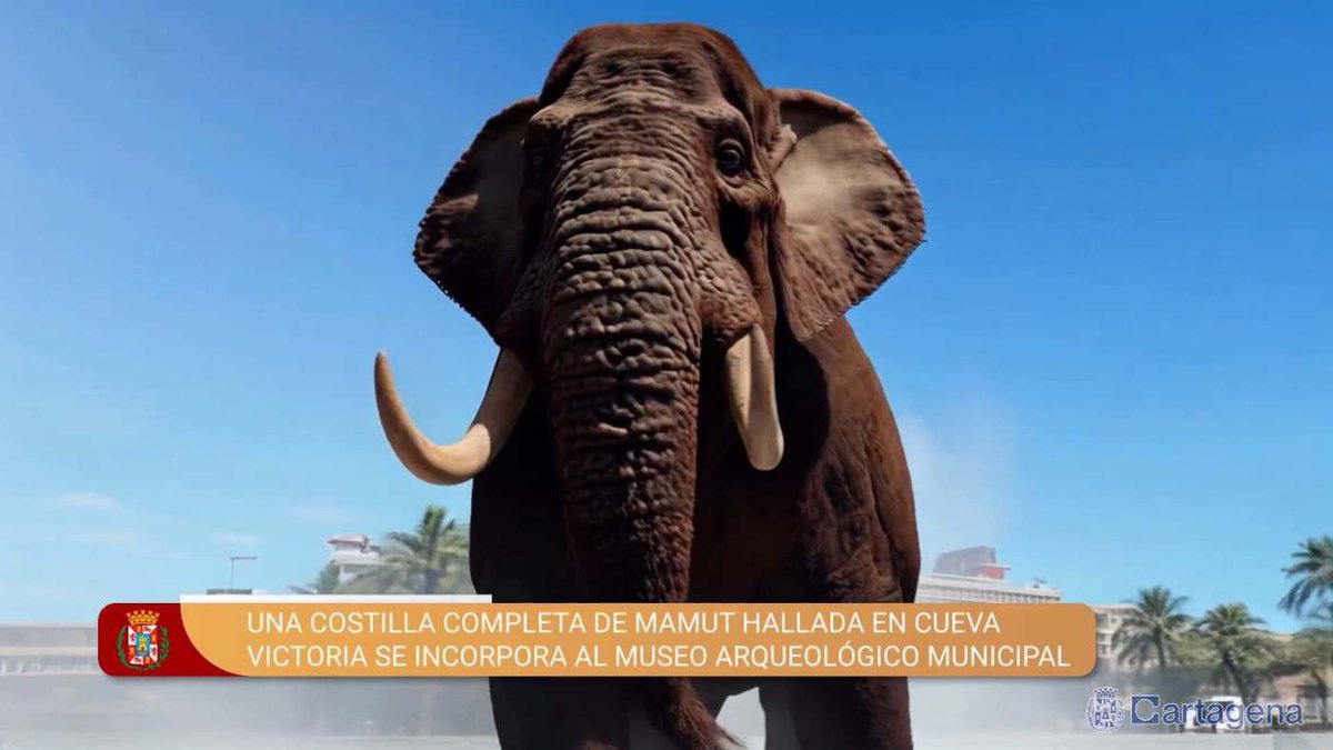 MC Cartagena 🇩🇰 (@mccartagena_ct) on Twitter photo 🤯 Otro episodio de la incompetencia De Arroyo: nos quiere dar mamut por ballena 🦣🐋
🗣️ <a href="/RicardoSeGar/">®️icardo Segado 🇪🇸🇩🇰</a>: “Ni rigor científico, ni respeto institucional, ni vergüenza torera; solo prisas, titulares vacíos y ganas de pasear otro anuncio ficticio por el puerto” 🤯 Otro episodio de la incompetencia De Arroyo: nos quiere dar mamut por ballena 🦣🐋
🗣️ <a href="/RicardoSeGar/">®️icardo Segado 🇪🇸🇩🇰</a>: “Ni rigor científico, ni respeto institucional, ni vergüenza torera; solo prisas, titulares vacíos y ganas de pasear otro anuncio ficticio por el puerto”