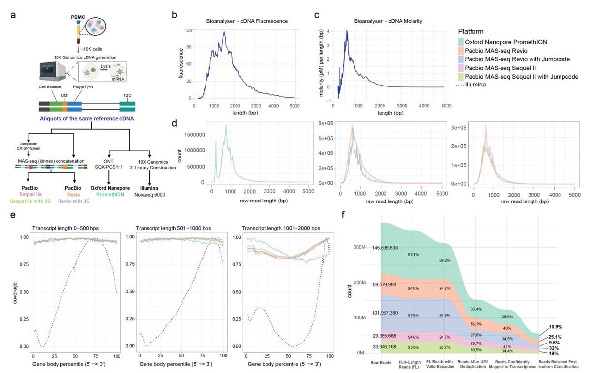 Javier Santoyo (@jsantoyo) on Twitter photo A comparison of long-read single-cell transcriptomic approaches. #LongRead #SingleCell #Transcriptomics #ToolsBenchmarking #Genomics #Bioinformatics <a href="/biorxiv_bioinfo/">bioRxiv Bioinfo</a> <a href="/AnitaScoonesPhd/">Anita Scoones</a>
biorxiv.org/content/10.110⦠A comparison of long-read single-cell transcriptomic approaches. #LongRead #SingleCell #Transcriptomics #ToolsBenchmarking #Genomics #Bioinformatics <a href="/biorxiv_bioinfo/">bioRxiv Bioinfo</a> <a href="/AnitaScoonesPhd/">Anita Scoones</a>
biorxiv.org/content/10.110ā¦