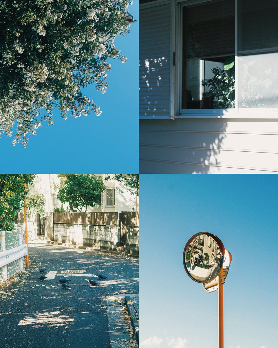 hinamin012's tweet image. 夏の写真撮りたい