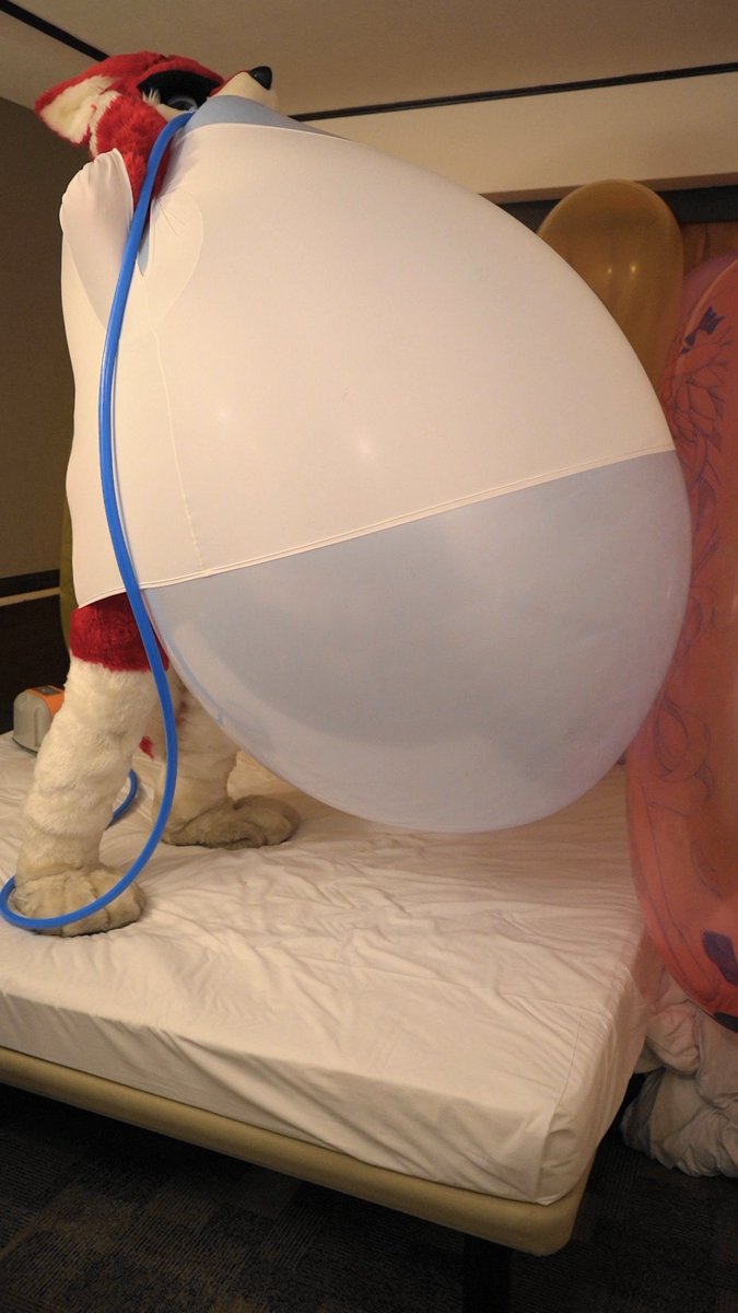 これがこうなりました🎈
#Looner 
#LoonerFur