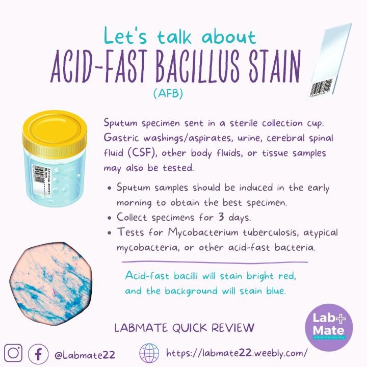 عينات الـ Sputum أو CSF أو Urine نصبغها بصبغة :

Acid fast stain (AFB)

نبحث فيها عن بكتيريا Mycobacterium tuberculosis وأنواعها الأخرى

تكون خلفية السلايد باللون الأزرق والبكتيريا عصوية باللون الأحمر

يفضل أخذ العينة لمدة 3 أيام متتالية في الصباح الباكر