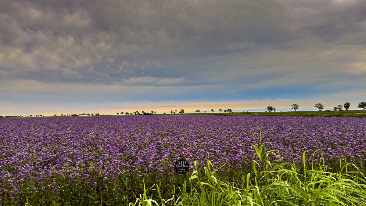 Speciaal voor jullie deze foto! Als bedankje voor jullie mooie woorden op mijn vorige foto, Westernieland / rtl weer van gisteren 🙏