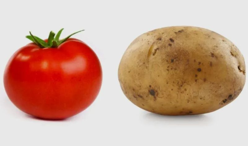 Connected_Data's tweet image. The Great Divide: Why Ontology and Data Architecture Teams Are Solving the Same Problems with Different Languages
In enterprise organisations today, two important disciplines are working in parallel universes, tackling nearly identical challenges whilst speaking completely…
