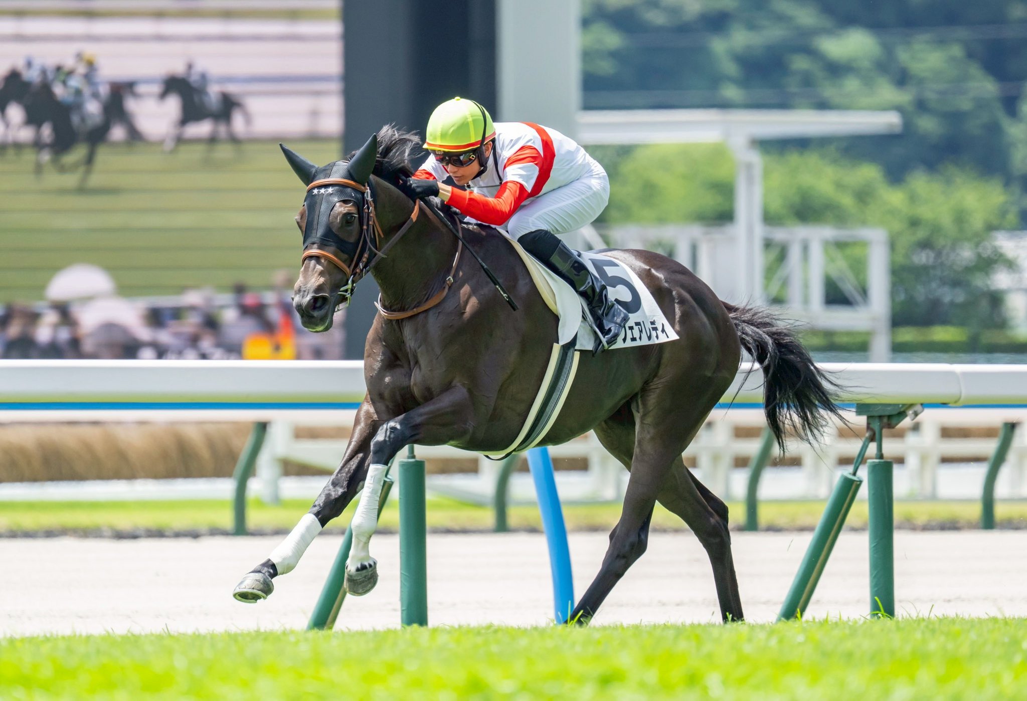 値下げ】競馬 JRA すて 騎手 調教師 坂井瑠星 矢作芳人 騎手サイン
