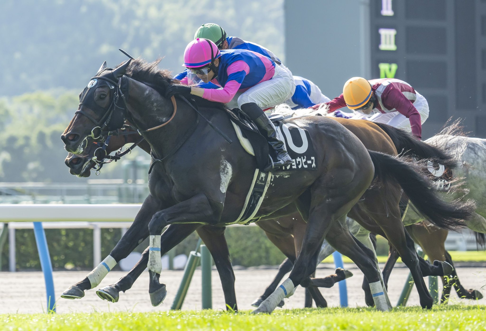 新品】ラヴズオンリーユー引退記念バックアイドルホースぬいぐるみ競馬