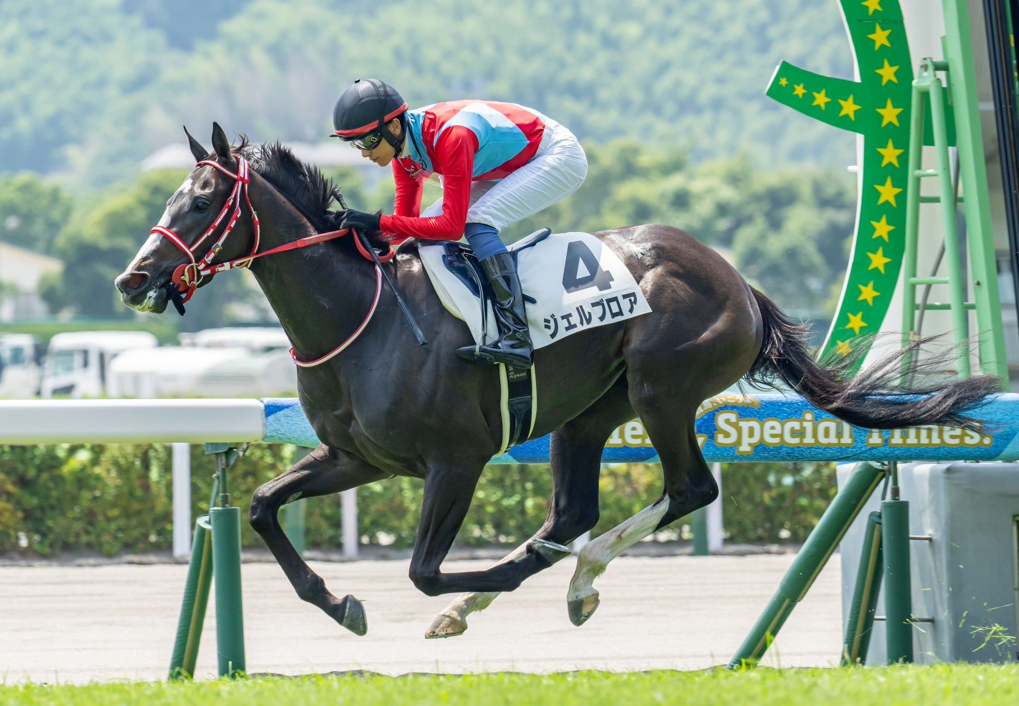 値下げ】競馬 JRA 騎手 調教師 坂井瑠星 矢作芳人 騎手サイン