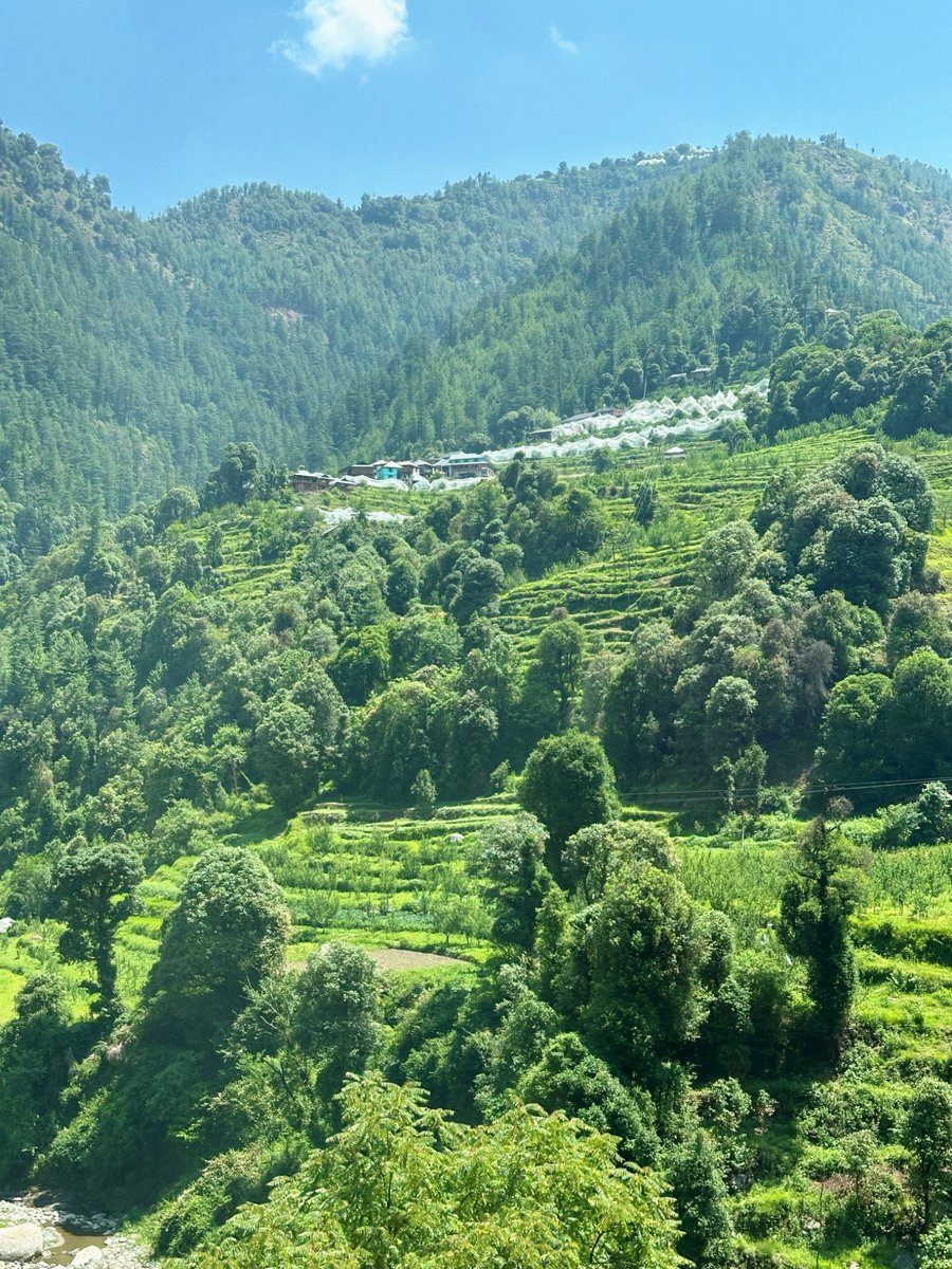 nazariyaa__'s tweet image. Visited Thunag and Janjehli valley just last month. Roads, schools-colleges, hospitals, markets, lush green orchards… everything felt so full of life.
Breaks my heart to see the flood damage now. Praying for Seraj 💔🙏🏻